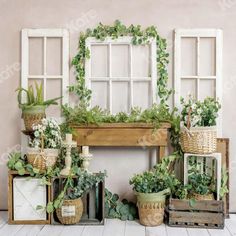 an assortment of potted plants are displayed in front of a fireplace with old windows