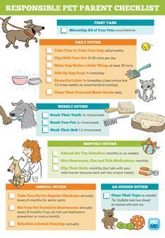 a poster with instructions on how to prepare for a pet parent checklist