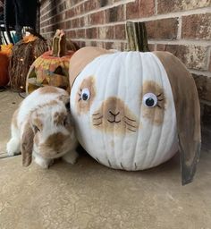 a rabbit is next to a pumpkin that has been painted with the faces of rabbits