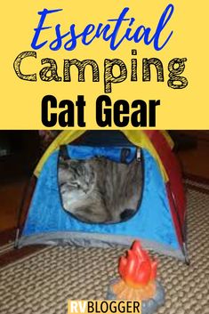 a cat laying in a blue tent with the words essential camping cat gear on it