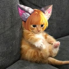 a cat sitting on top of a gray couch wearing a wig and angel wings costume