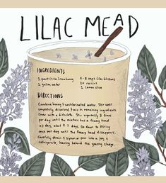 an illustrated recipe for lilac mead