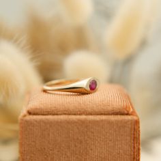 Indulge in elegance with the 14K Kira Ring. This luxurious ring boasts a unique east-west set ruby stone, delicately crafted in yellow gold. With its exclusive house-made design, it's a true statement piece. Available in size 7. Elevate your style with this sophisticated and one-of-a-kind ring. Materials & Details ruby 14k yg size 7 Luxury Ruby Signet Ring, Minimalist Luxury Gold Ruby Ring, Ruby Quartz Ring, High-end Ruby Signet Ring Gift, Luxury Minimalist Gold Ruby Ring, Ring Ruby, Ruby Stone, House Made, East West