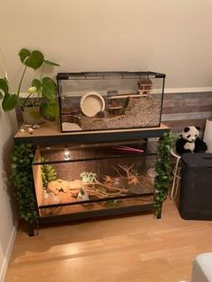 a fish tank is sitting on top of a shelf with plants and other items in it