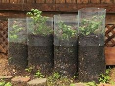 several plastic containers with plants in them on the ground