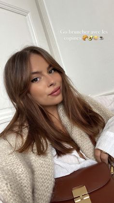 Opaque Hair Color, Face Frame Mid Length Hair, Breton Hair Long, Expensive Brown Hair, Brown Hair Aesthetic, It Girl Hair, Expensive Brunette, Ideas For Brown Hair, The It Girl