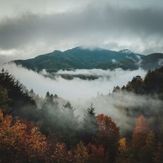 the mountains are covered in thick fog and low lying clouds as they sit on top of trees