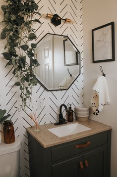 a bathroom sink with a mirror above it and a plant on the counter next to it