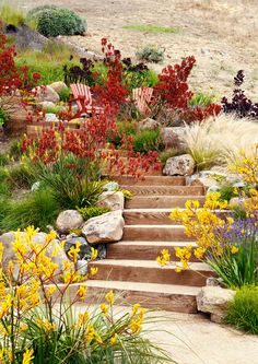 a garden with rocks, plants and flowers on the ground near some steps that lead up to an outdoor deck