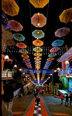 many umbrellas are hanging from the ceiling