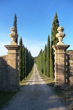 an old stone gate leading into the distance with trees lining both sides on either side