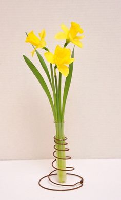 yellow daffodils in a glass vase on a white table with spiral wire