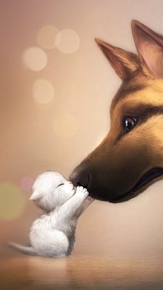 a dog and a cat face to face with each other in front of a blurry background