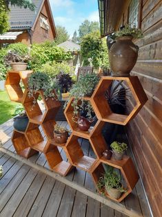 a bunch of potted plants sitting on top of wooden shelvings in front of a house