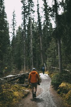 two people walking down a trail in the woods