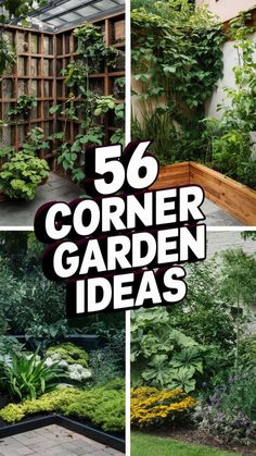 the words 50 corner garden ideas are shown in four different pictures, including plants and flowers