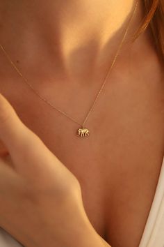 Tiny Gold Elephant Necklace, 14K Solid Gold Elephant Necklace, Minimalist Animal Pendant, Dainty initial Elephant Pendant, Summer Jewelry, 14K Gold Chain Necklace, Birthday Gift, Christmas Gift, Solid Gold Necklace, Valentine's Day Gift "Material: SOLİD GOLD (No Gold Filled Or No Gold Plated)" "KARAT: 14K (585) "Pendant Length: 5,7 MM "Pendant Width: 9,0 MM "Available Gold Color: (Yellow Gold, White Gold, Rose Gold) "The certificate will be sent with the product. *Elephant Necklace Meaning: The elephant symbol is predominantly related to strength, honor, determination and perseverance, among other qualities. Elephants are considered a symbol of good luck in many cultures. Elephant; In ancient China it is considered a symbol of strength, wisdom, fertility and endurance. ORDER PROCESS * Choo Elephant Jewelry Necklace, Basic Jewellery, Elephant Symbol, Necklace Meaning, Elephant Necklace Gold, Mother Days, Chirstmas Gift, Girlfriend Surprise, Elephant Jewelry