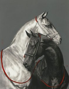 two white horses with red bridles standing next to each other on a gray background