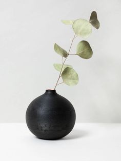 a black vase with some green leaves in it