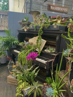 an old piano is covered with plants and music instruments