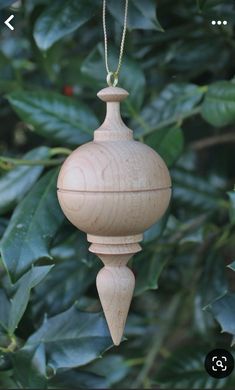 a wooden ornament hanging from a tree with green leaves in the back ground