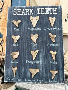 a sign with different types of shark teeth on it