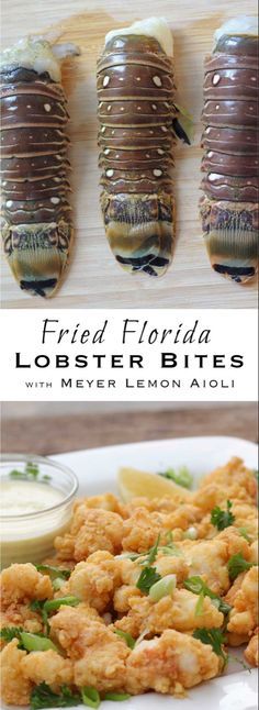 fried florida lobster bites with lemon aioli