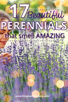 a woman is smelling lavender flowers with the words 17 beautiful perennials that smell amazing