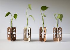 three vases with plants in them sitting next to each other