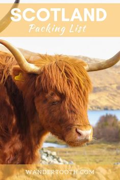 an animal with long horns standing in front of a lake and mountains, text reads scotland packing list