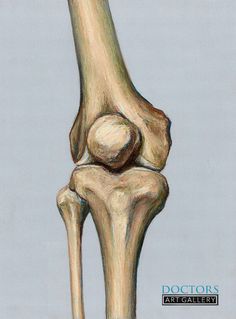 an image of a drawing of a human knee with the top part removed from it