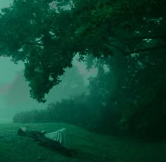 a person laying on the ground under a tree