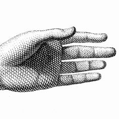 a drawing of a hand holding something in it's palm