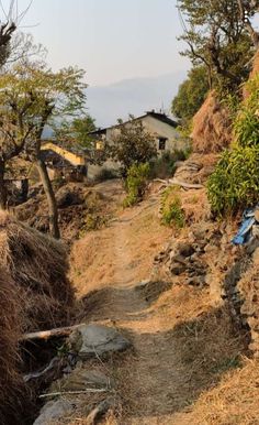 a dirt path that is next to some bushes and trees with houses in the background