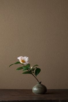 a single white flower in a green vase on a wooden table next to a brown wall