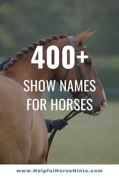 a brown horse with the words, 400 + show names for horses on it's back