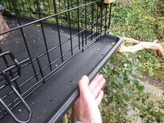 a person holding onto the top of a bird cage in front of a tree branch