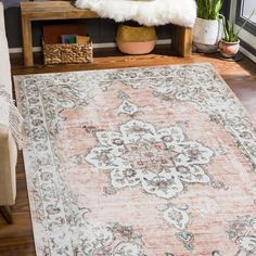 an area rug is shown in front of a couch and potted houseplant