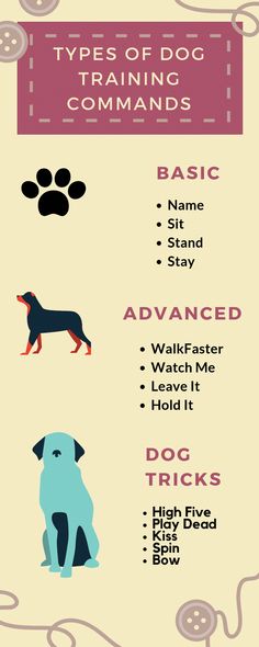 the different types of dog training commands are shown in this graphic style, and there is also