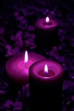 three lit candles sitting on top of a black table covered in purple flowers and leaves