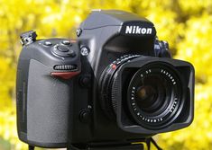 a close up of a camera on a tripod in front of some yellow trees