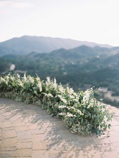 flowers growing on the side of a stone wall with mountains in the backgroud