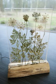 a glass vase with some plants in it