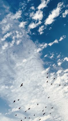 a flock of birds flying through a cloudy blue sky