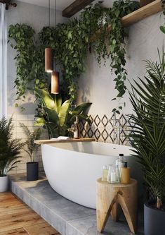 a bathtub surrounded by potted plants and other greenery in a modern bathroom