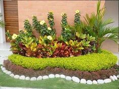 a garden with green plants and white rocks