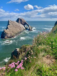 flowers growing on the side of a cliff overlooking the ocean and rock formations in the distance