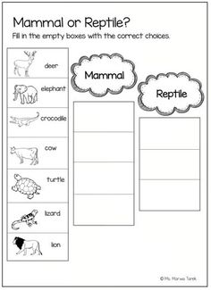 a printable worksheet for the mama or reptile? with pictures on it