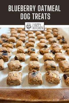 blueberry oatmeal dog treats on a baking sheet with text overlay