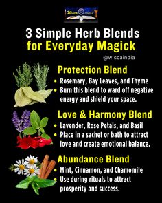 Magick is in the little things… like blending everyday herbs for powerful results! 🌿✨

Here are 3 easy herb blends you can try to bring magick into your daily life:
1️⃣ Protection Blend 🛡️:
Combine rosemary, bay leaves, and thyme. Burn it as incense or sprinkle the blend around your space to shield yourself from negativity.
2️⃣ Love & Harmony Blend 💕:
Mix lavender, rose petals, and basil. Carry it in a charm bag or add it to a bath to attract love, peace, and balance.
3️⃣ Abundance Blend 🍀:
Blend mint, cinnamon, and chamomile. Use this mix in rituals to manifest prosperity and success in your life.

✨ Herbs carry immense energy! Which blend are you drawn to the most? Comment below! 🌙

Magick is all around us—start with these simple blends! ✨🌿